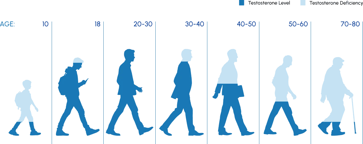 Natural Testosterone Level Decline with age graphic