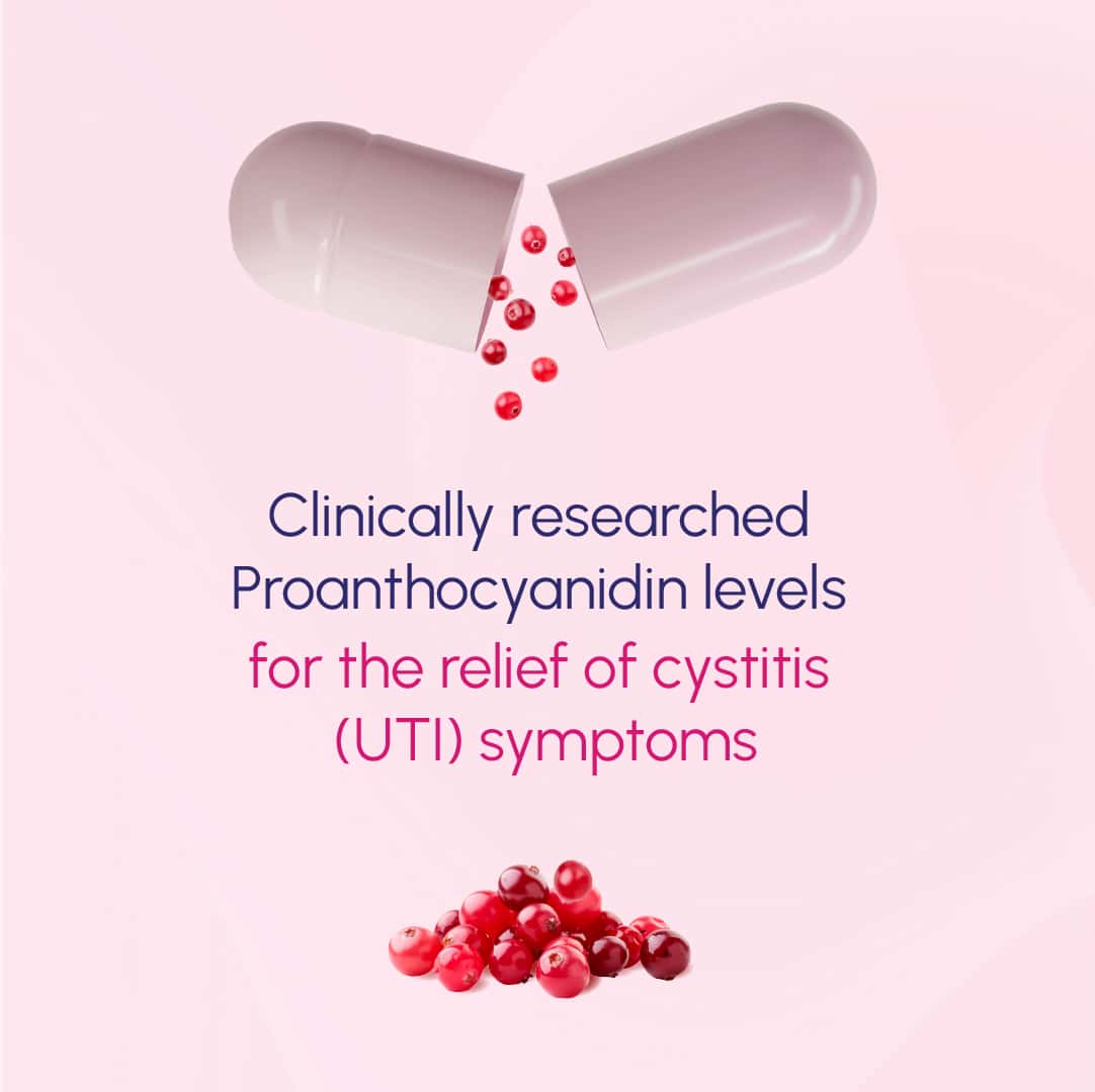 UT Cleanse Clinically researched proanthocyanidin levels for the relief of cystitis (UTI) symptoms graphic.